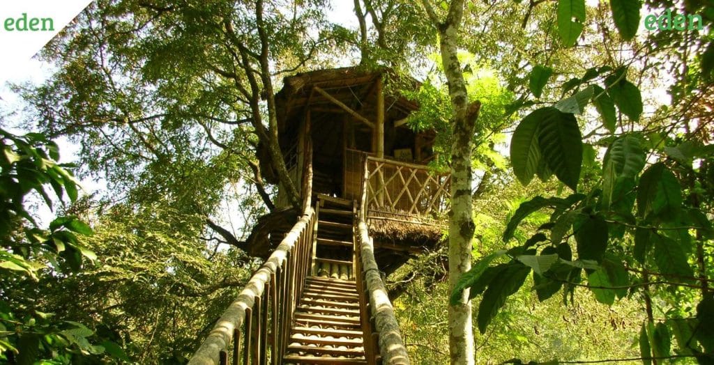 How much does a Treehouse cost? Eden Lawn Care and Snow Removal