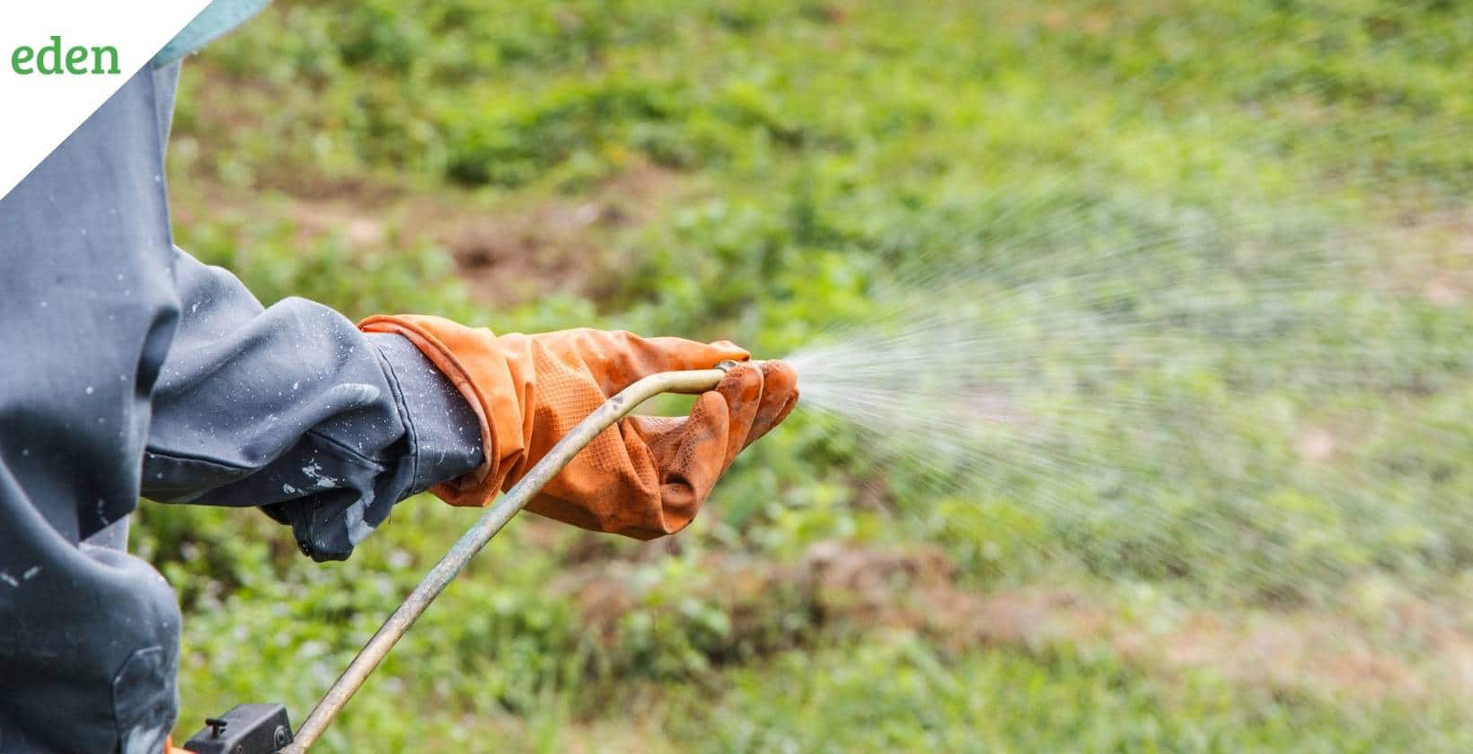 Pre-Emergent Herbicides