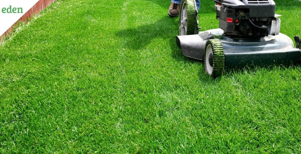 Starting A Lawn Care Business Know The Pros And Cons Eden Lawn Care 