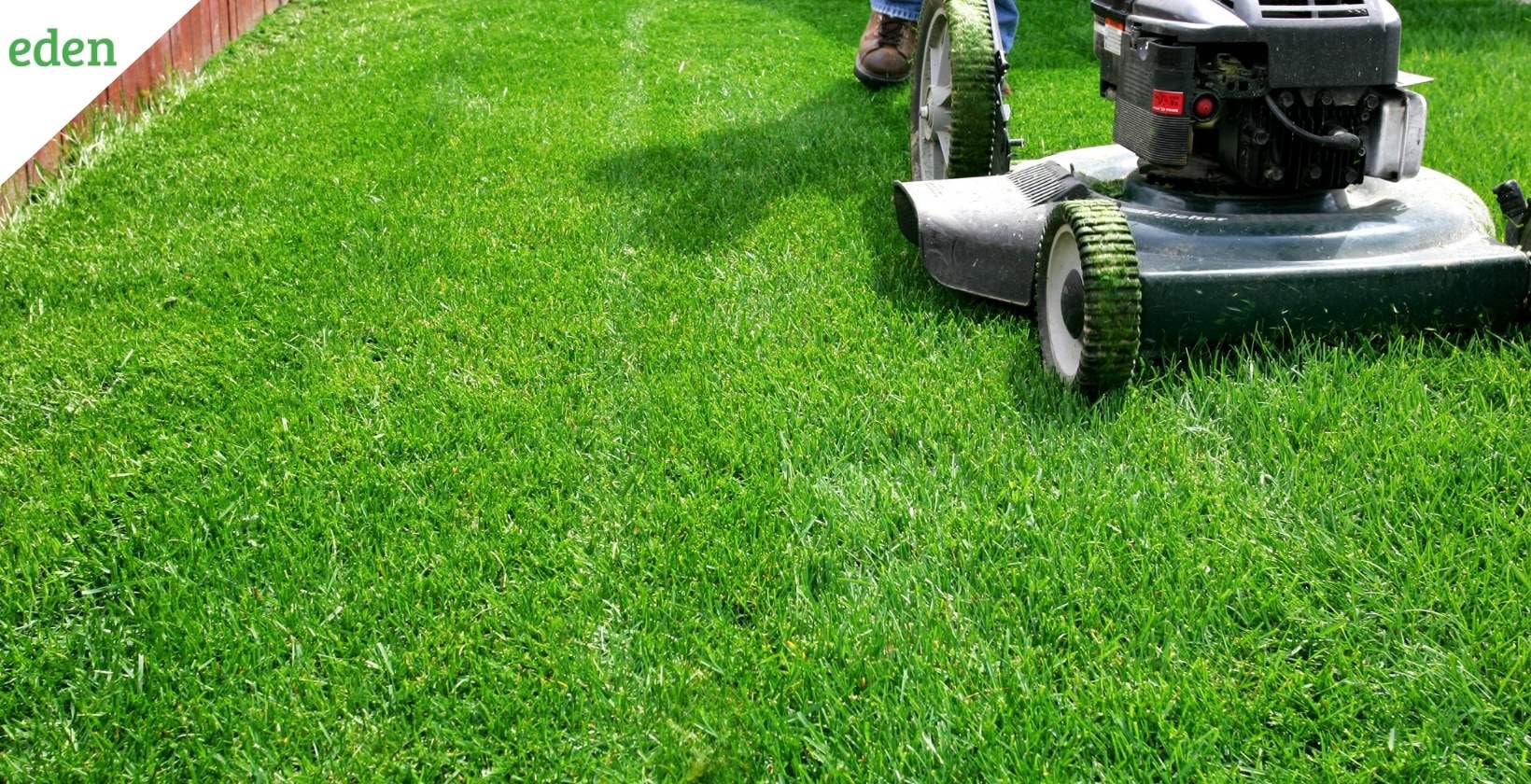 Lawn mowing companies discount in my area