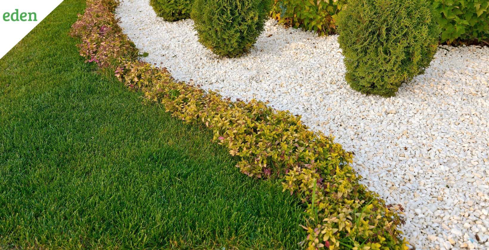 Landscaping Ideas