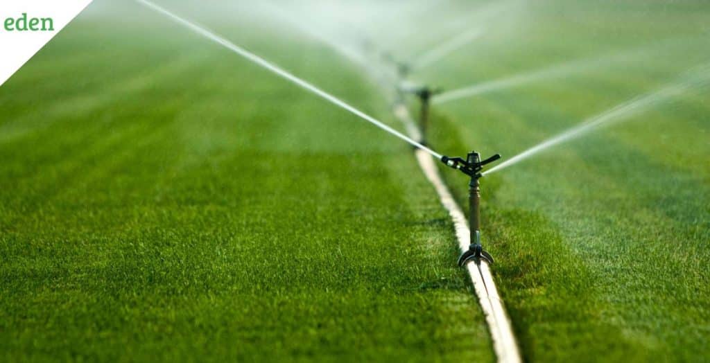 Adjusting and Repairing Lawn Sprinkler Heads Know how to do it? Eden