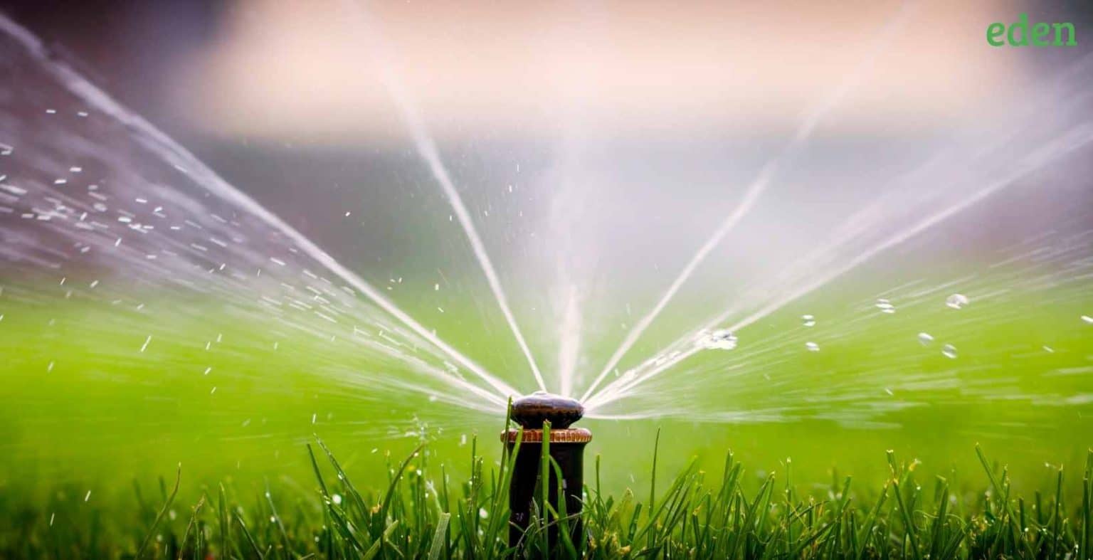 Adjusting and Repairing Lawn Sprinkler Heads Know how to do it? Eden