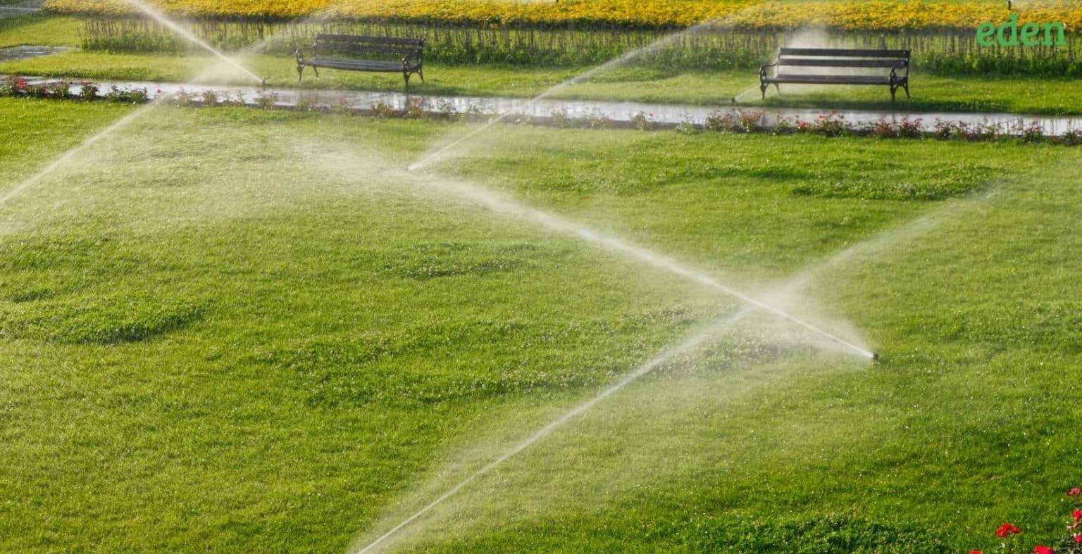 Adjusting and Repairing Lawn Sprinkler Heads Know how to do it? Eden