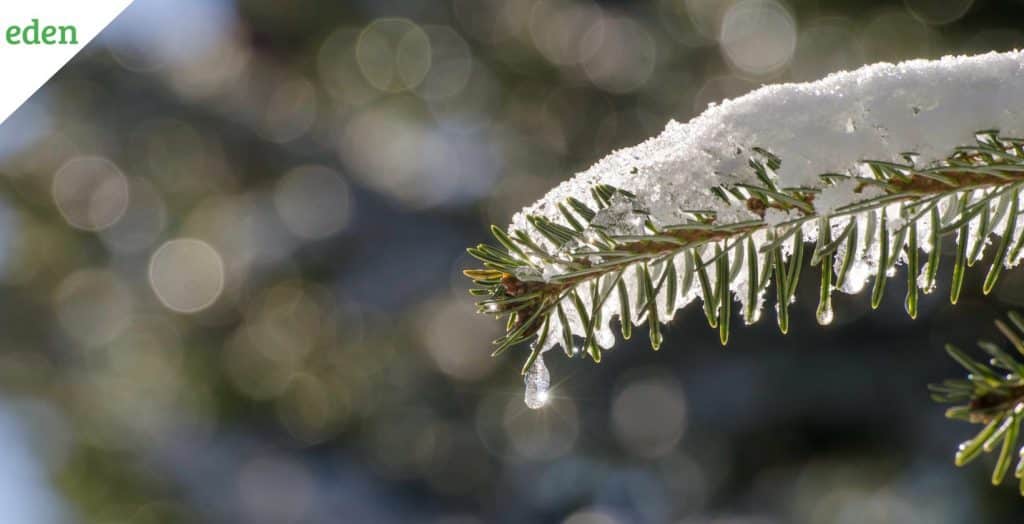 The Do’s and Don’ts of Using Ice Melt Eden Lawn Care and Snow Removal