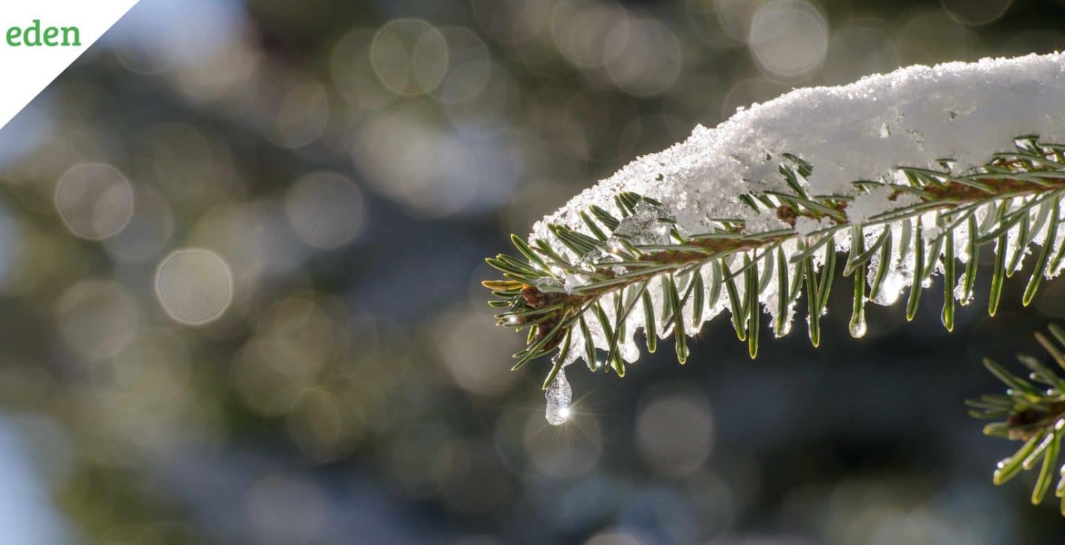 The Do’s and Don’ts of Using Ice Melt Eden Lawn Care and Snow Removal