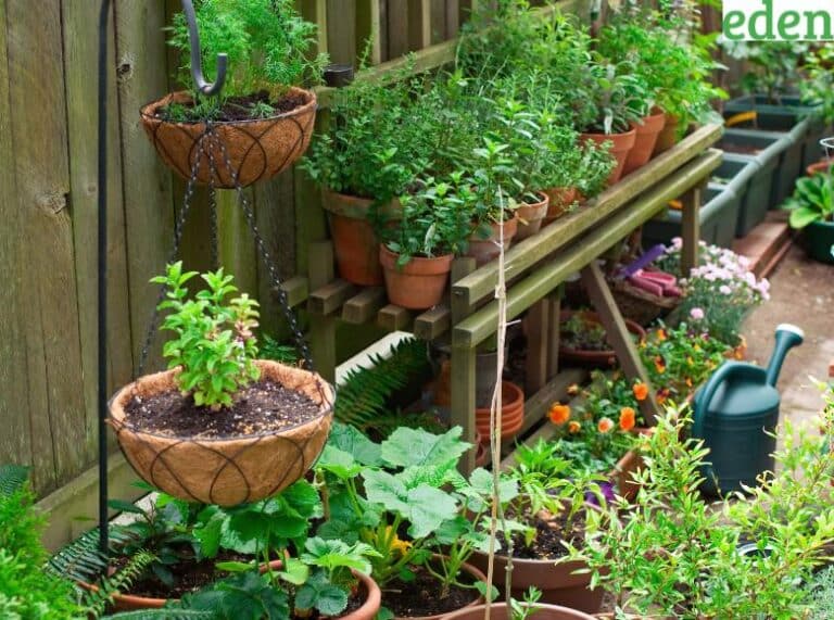 10 LowMaintenance Landscaping Ideas for Summer Eden