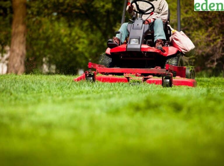 Ultimate Guide to Mowing Your Lawn During the Summer Eden