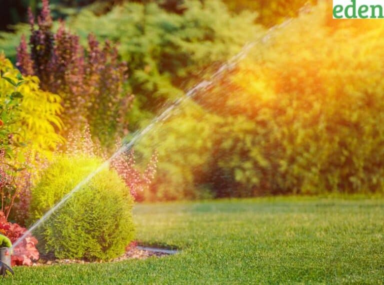 Tips For Watering Your Lawn In The Summer eden