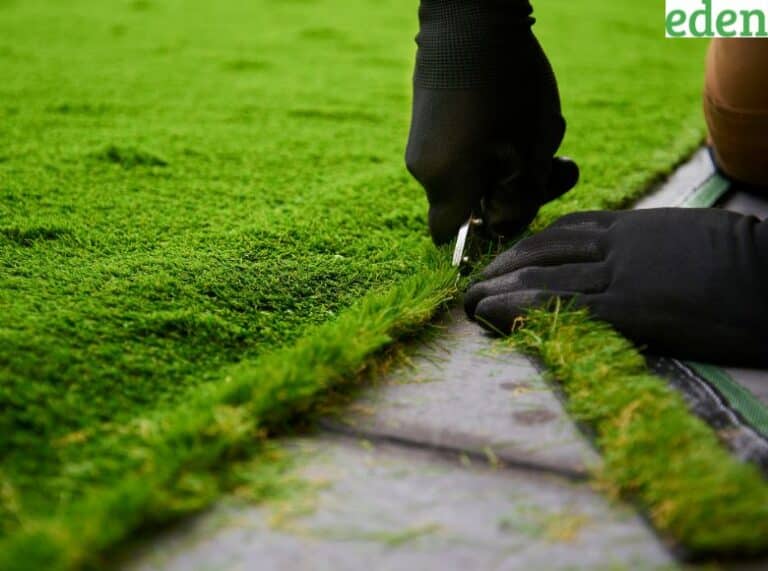 6 Tips To Maintain Your Artificial Grass This Summer Eden