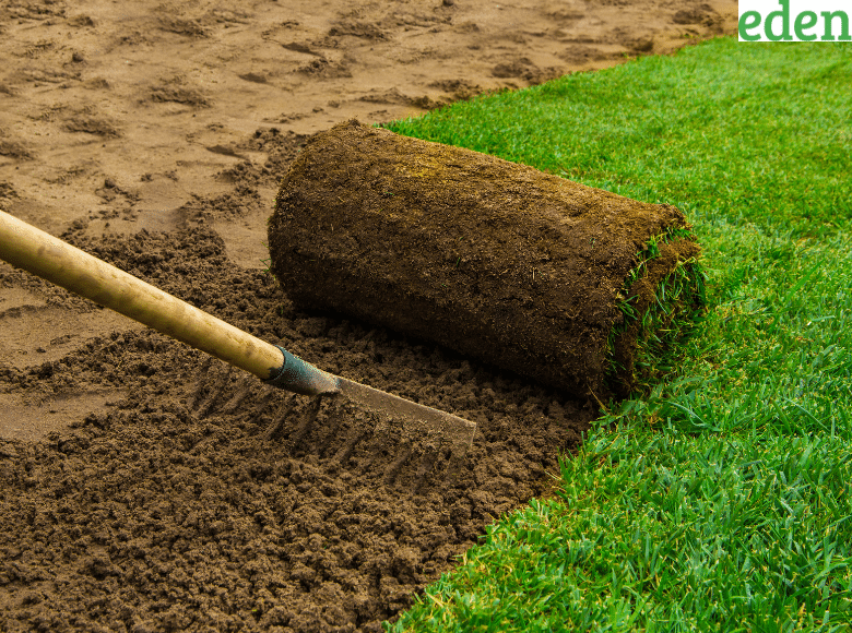 How to Lay Sod in Your Lawn During Summer?