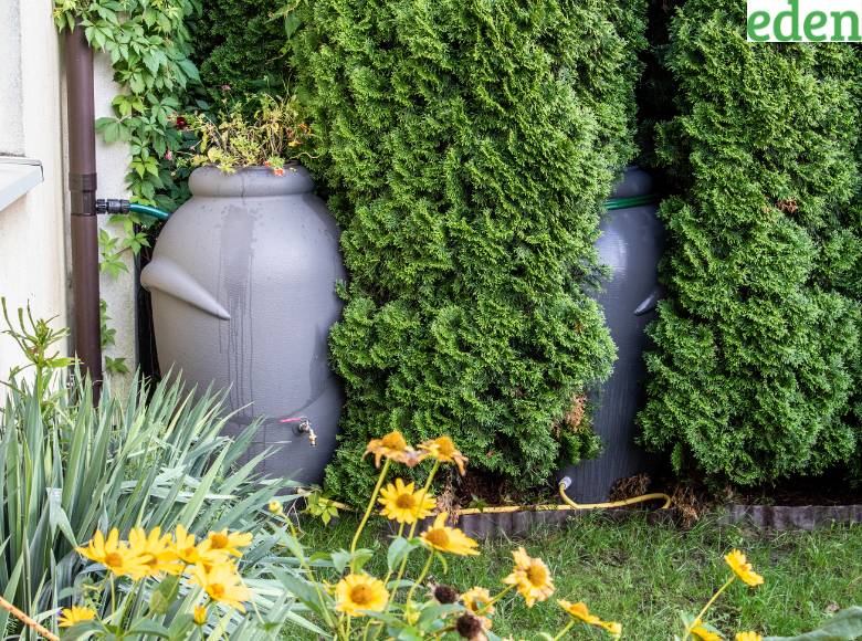 7 Ways To Use Rainwater to Water Your Garden and Save Resources