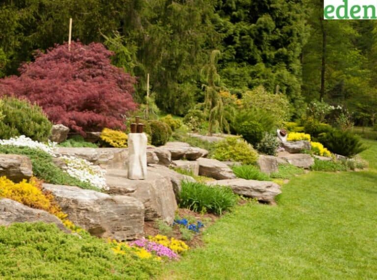 Create A Stunning Rock Garden With Rocks and Alpine Plants